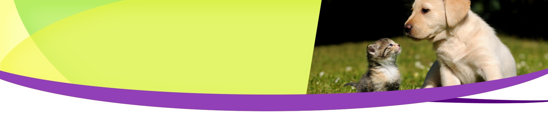 Souscription Assurveto