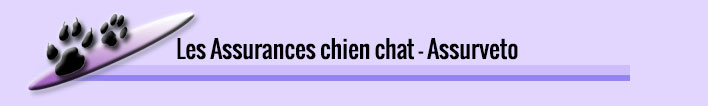 Assurance chien et assurance chat