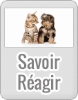 Savoir réagir