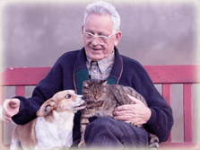 Le lien affectif entre le propriétaire et son animal