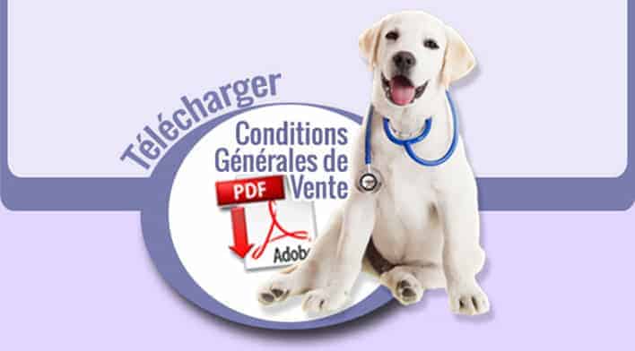 Assurance Chien - Chat