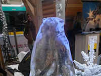 France Montagnes lancera la saison d’hiver au cœur de Paris !