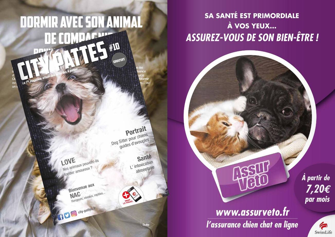 L’assurance chien / chat AssurVeto s’invite dans la presse
