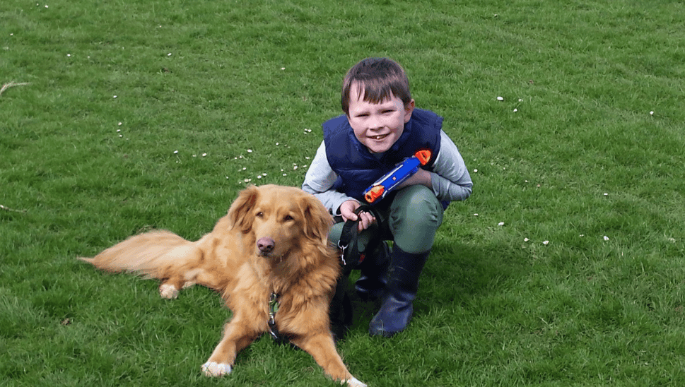 Quelles sont les races de chiens les plus adaptées pour les enfants et la vie de famille 